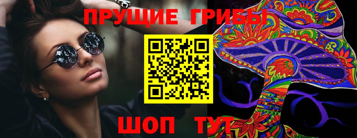 купить   Псилоцибиновые грибы мицелий  Вход с VPN  Апшеронск 